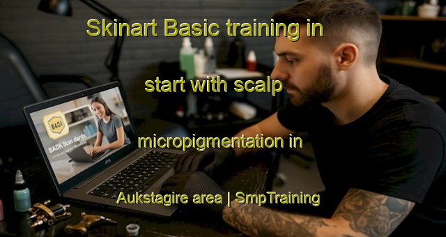Skinart Basic training in start with scalp micropigmentation in Aukstagire area | SmpTraining | SmpClasses | SkinartTraining-Lithuania